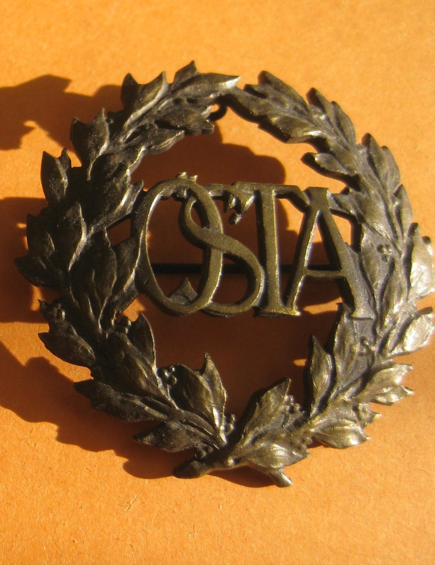 ÖSTA Sportabzeichen in Bronze ÖSTERREICH AUSTRIA