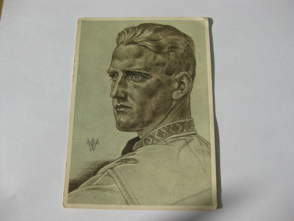 Postkarte Willrich Postkarte Hitlerjugend Jugendführer in Siebenbürgen VdA