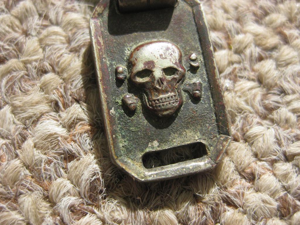 Waffen-SS , Verfügungstruppe , Schutzstaffel