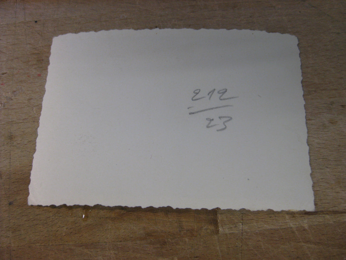 Extrem Seltenes Trägerfoto Sturmgeschütz Eichenlaubträgerfoto / Ritterkreuzträgerfoto