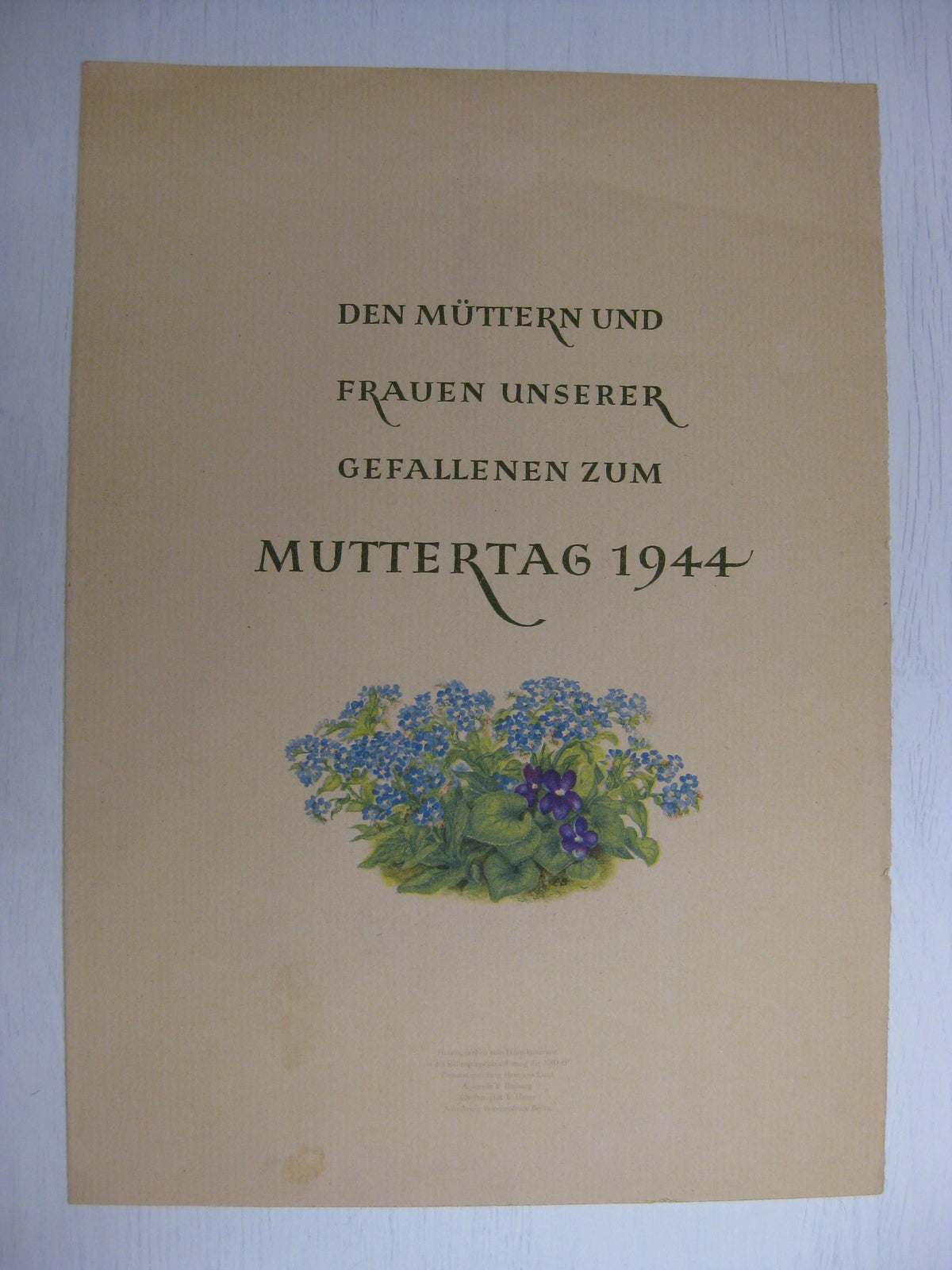 Dokumente einer Mutter eines gefallenen Fliegers Monte Rosa !°!