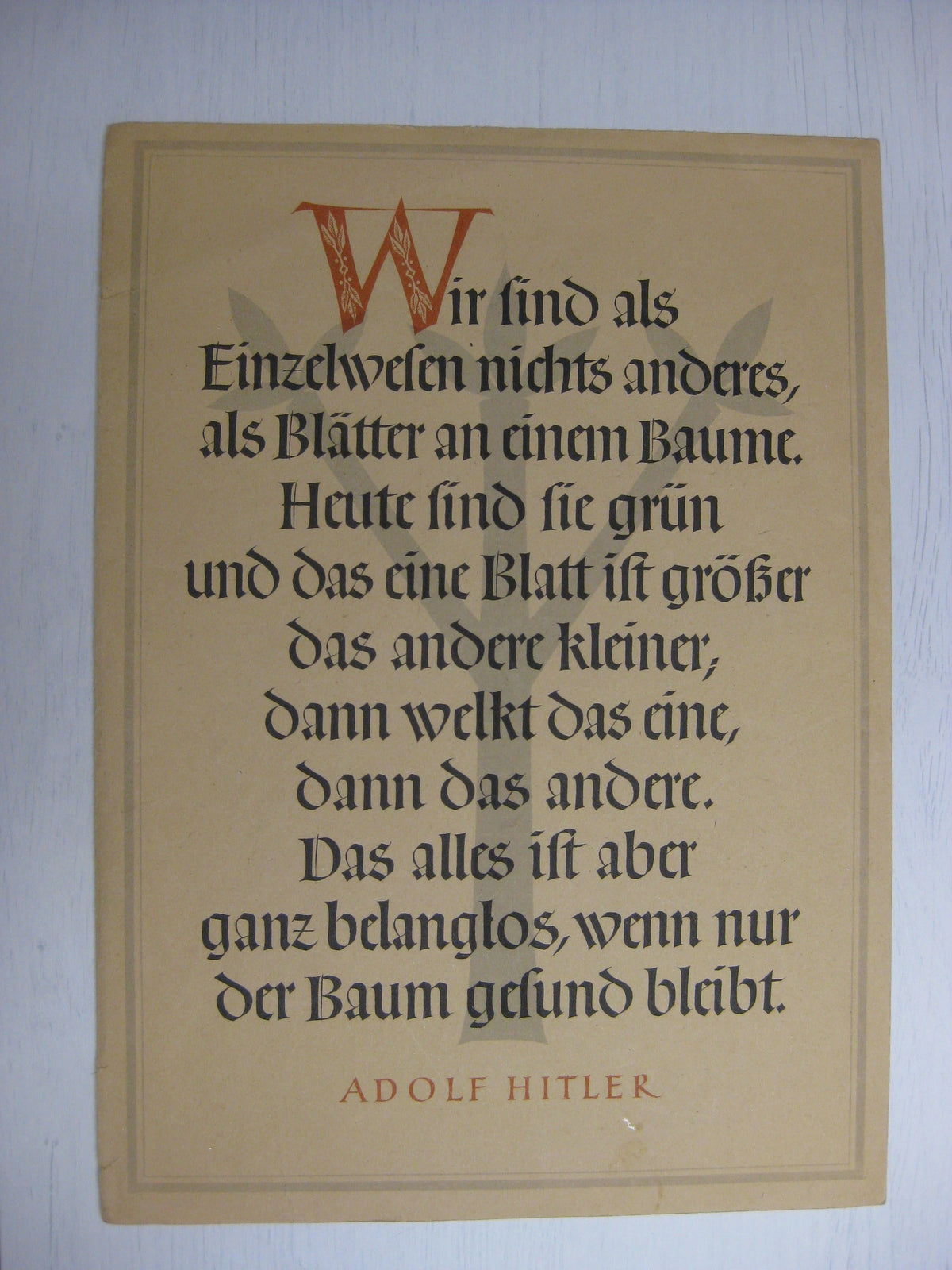 Dokumente einer Mutter eines gefallenen Fliegers Monte Rosa !°!