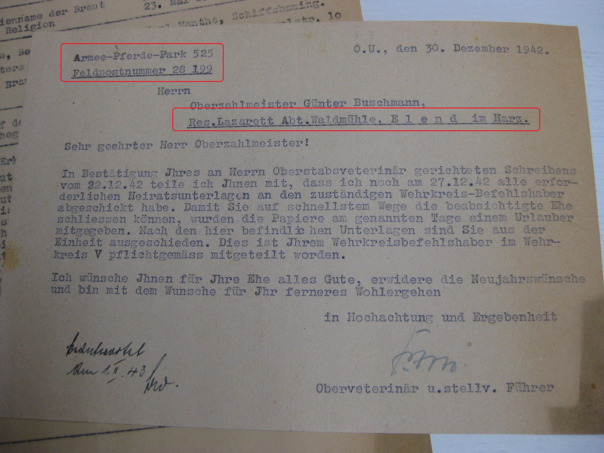 Veterinär - Offizier Wehrmacht Russland Ostfront