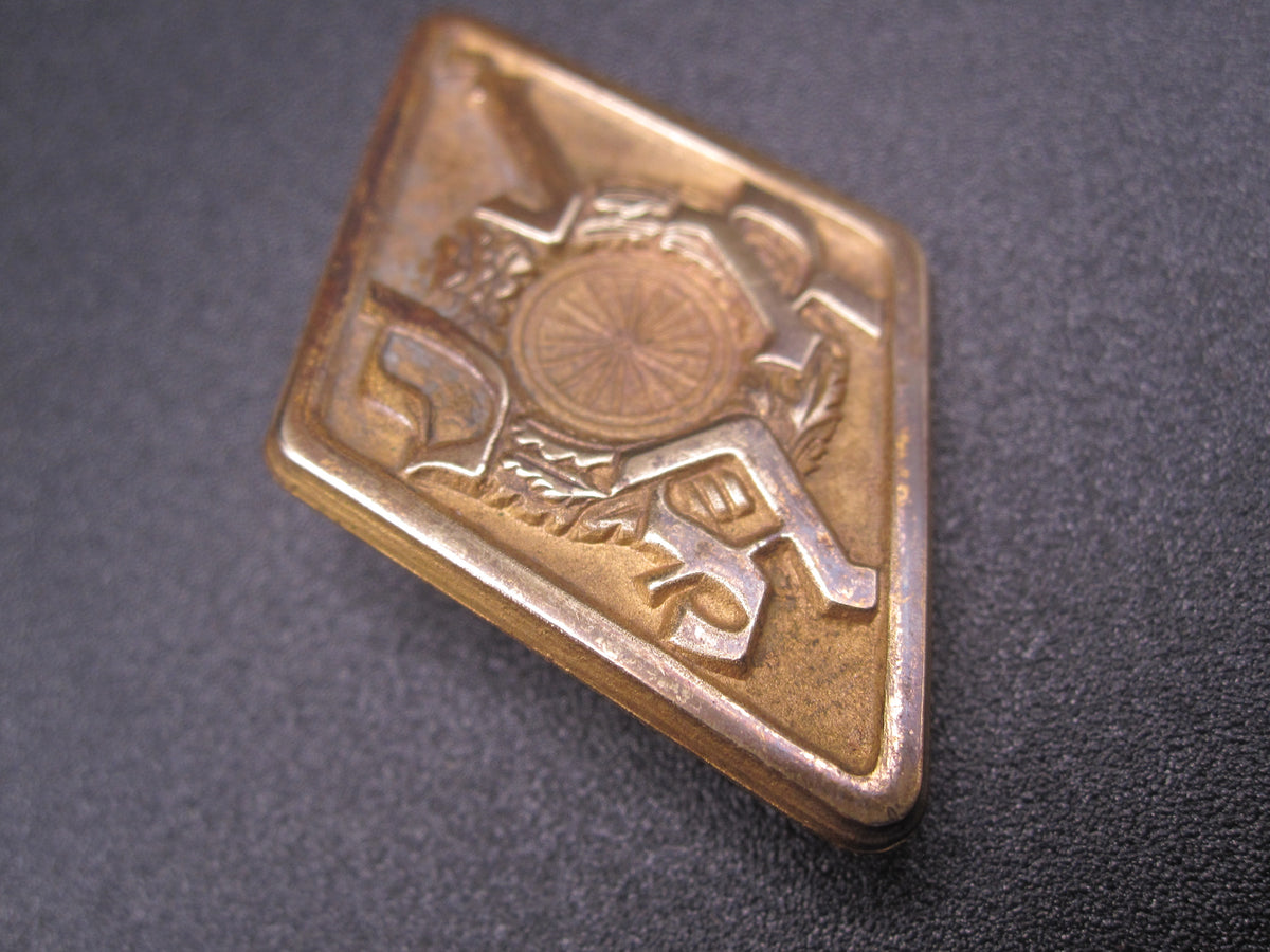 Deutsches Jugend Radfahr Abzeichen (DjRA)  in GOLD 2tes Modell