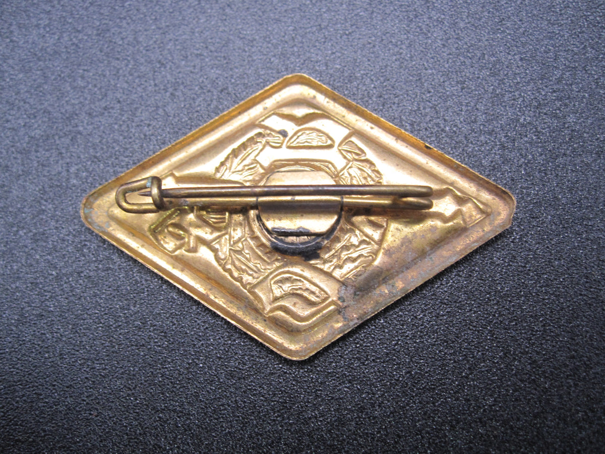 Deutsches Jugend Radfahr Abzeichen (DjRA)  in GOLD 2tes Modell