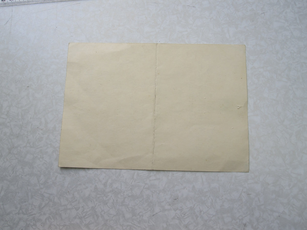 Gebirgsjäger Verleihungsurkunde zum Eisernen Kreuz 2. Klasse (EK2/39)