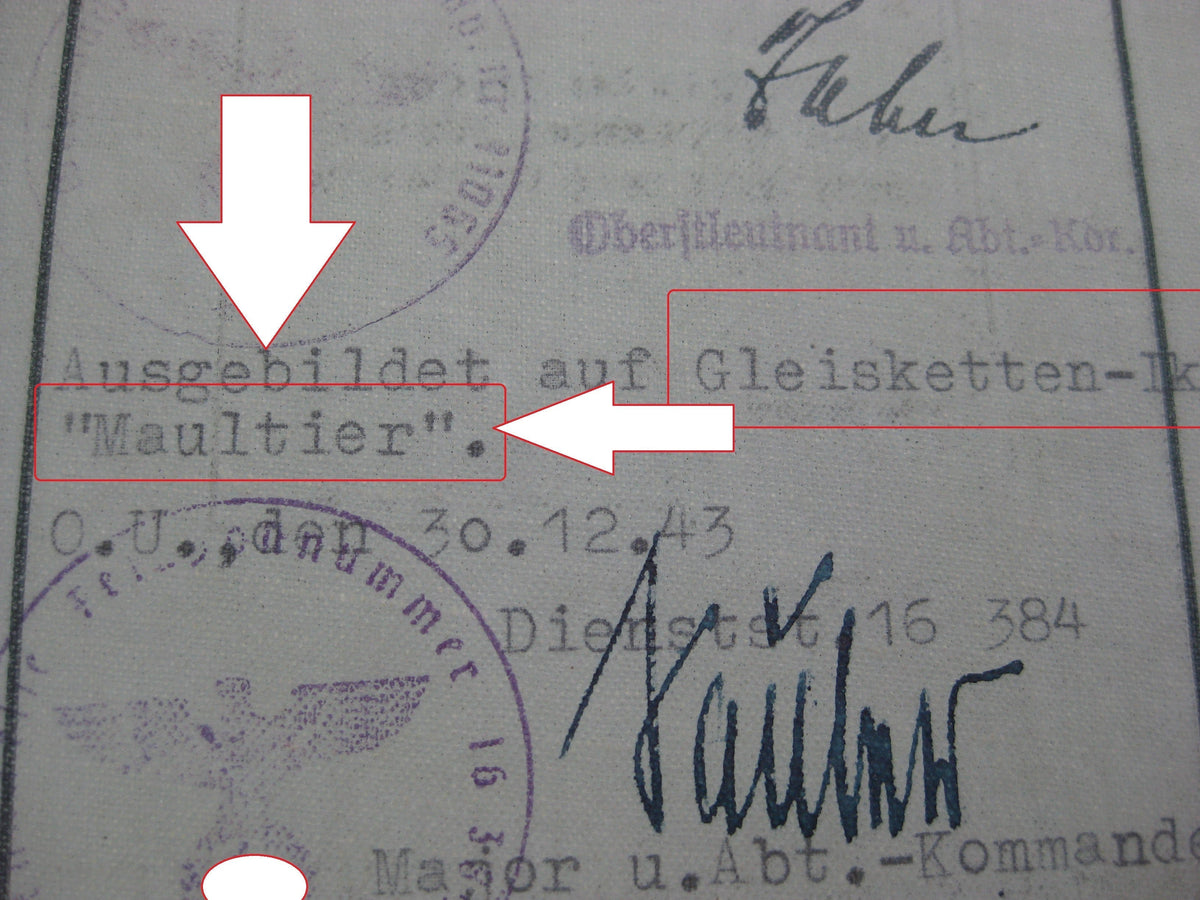 Nachlass Deutsches Kreuz in Gold Soldbuch Dokumente von Alfons B. Panzertruppe Sturmartillerie Panzerjäger Sturmgeschützkommandant