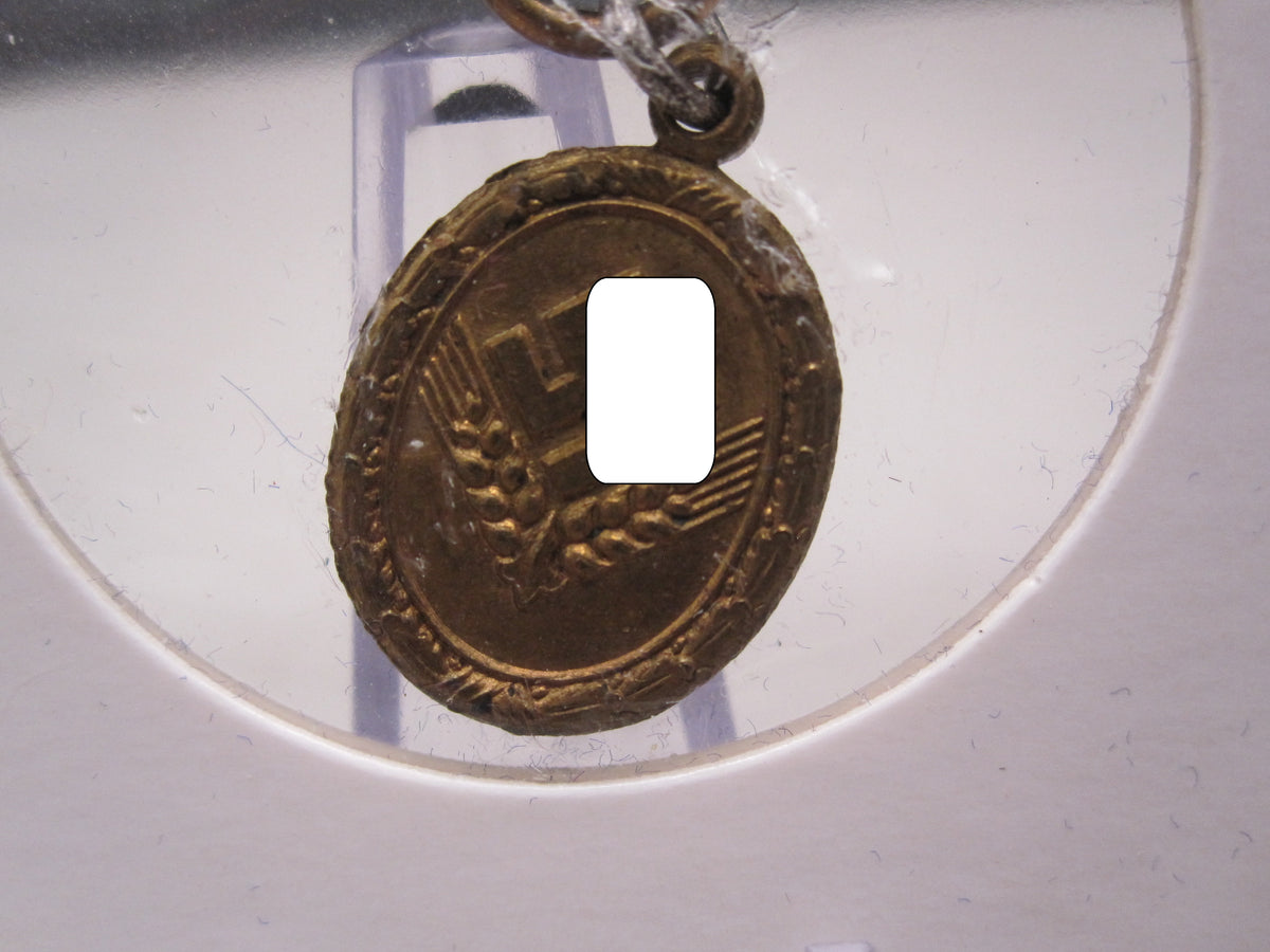 H.W.  -  - Miniatur Medaille für Frauen 1.Stufe im Reichsarbeitsdienst MINT CONDITION