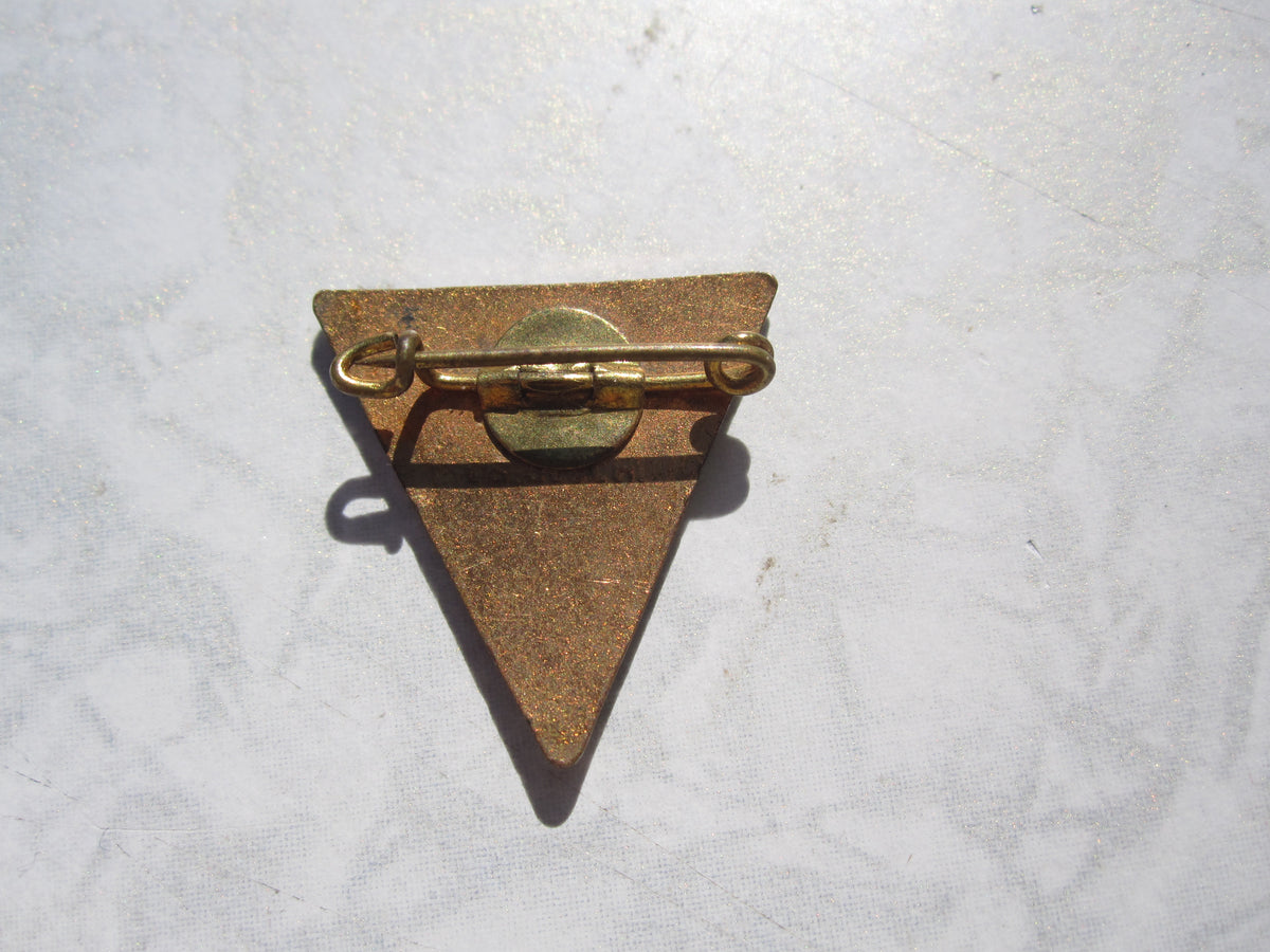 Mitgliedsabzeichen deutsche NS-Frauenschaft NSFM Hersteller: OHNE