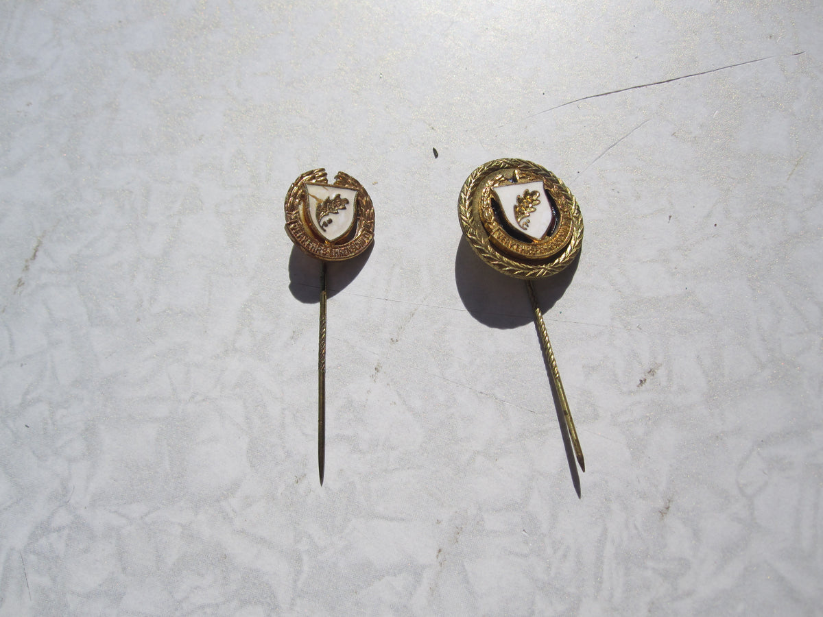 SET 2 Abzeichen SAARLAND Verkehrs - Ehrenschild in Gold als Miniatur