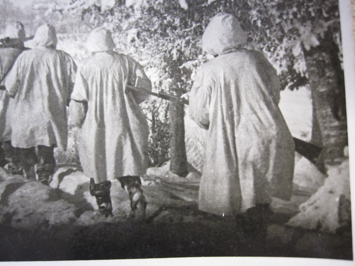 SS-Gebirgsjäger Gebirgs Division &quot; PRINZ EUGEN &quot; Scharfschütze !!!!! Partisanenkrieg