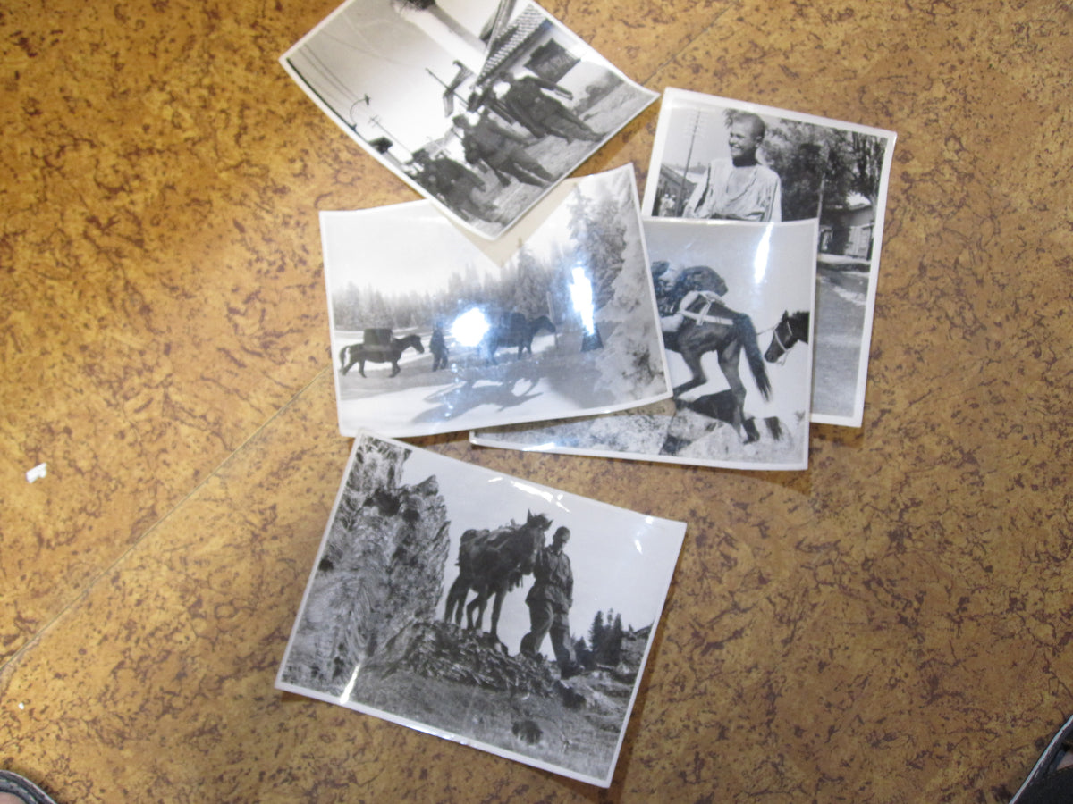 ORIGINALE 5 Großformatige Fotos SS-Gebirgsjäger Gebirgs Division &quot; PRINZ EUGEN &quot;  KRIEGBSBERICHTER  Serbien Montenegro Bosnien Balkanfeldzug