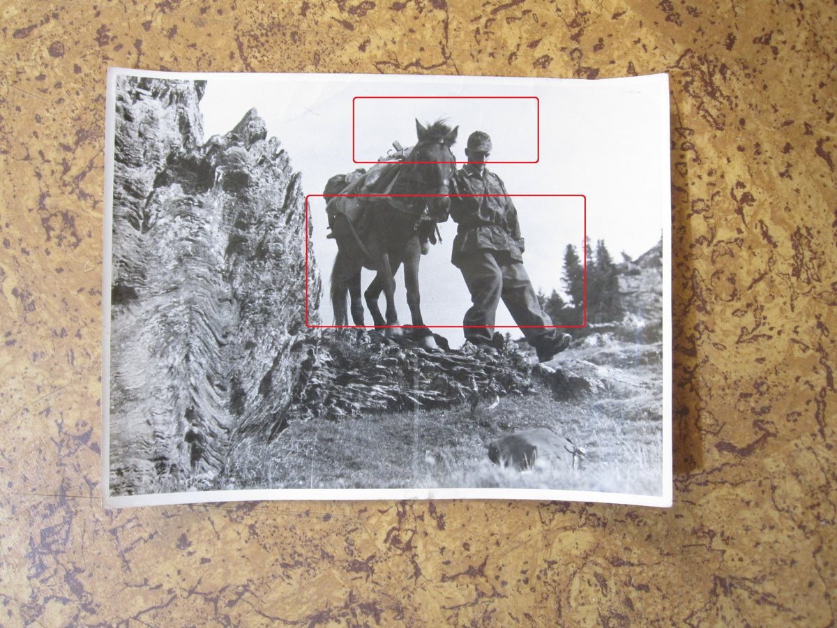 ORIGINALE 5 Großformatige Fotos SS-Gebirgsjäger Gebirgs Division &quot; PRINZ EUGEN &quot;  KRIEGBSBERICHTER  Serbien Montenegro Bosnien Balkanfeldzug