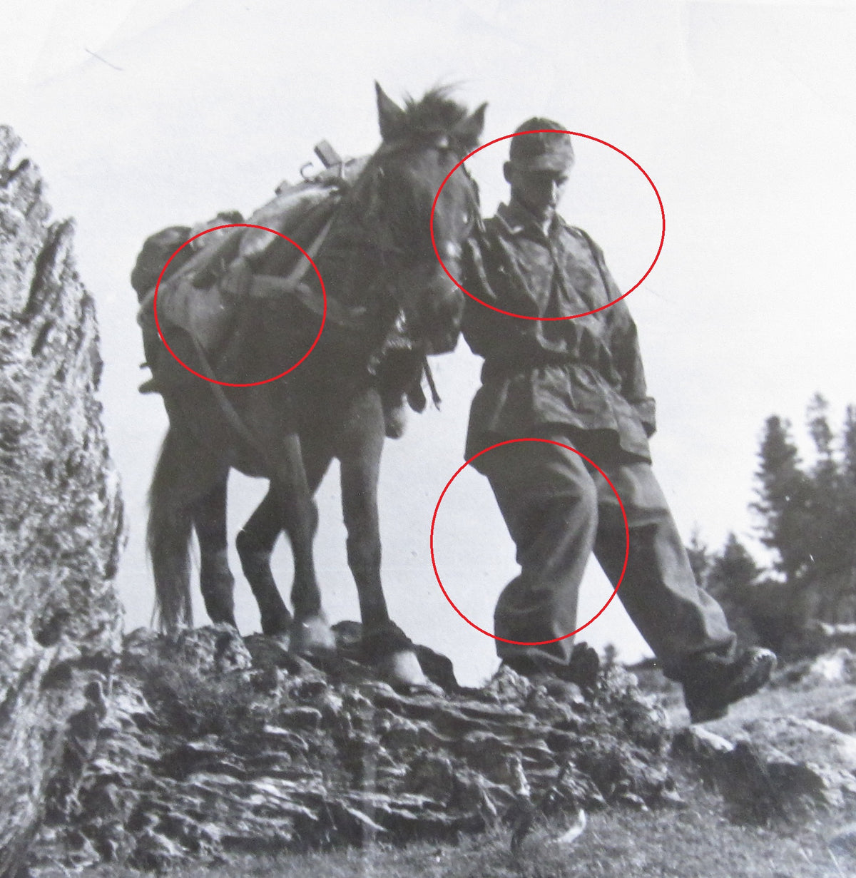 ORIGINALE 5 Großformatige Fotos SS-Gebirgsjäger Gebirgs Division &quot; PRINZ EUGEN &quot;  KRIEGBSBERICHTER  Serbien Montenegro Bosnien Balkanfeldzug