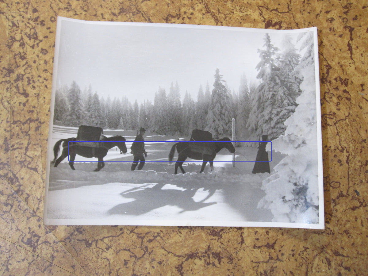 ORIGINALE 5 Großformatige Fotos SS-Gebirgsjäger Gebirgs Division &quot; PRINZ EUGEN &quot;  KRIEGBSBERICHTER  Serbien Montenegro Bosnien Balkanfeldzug