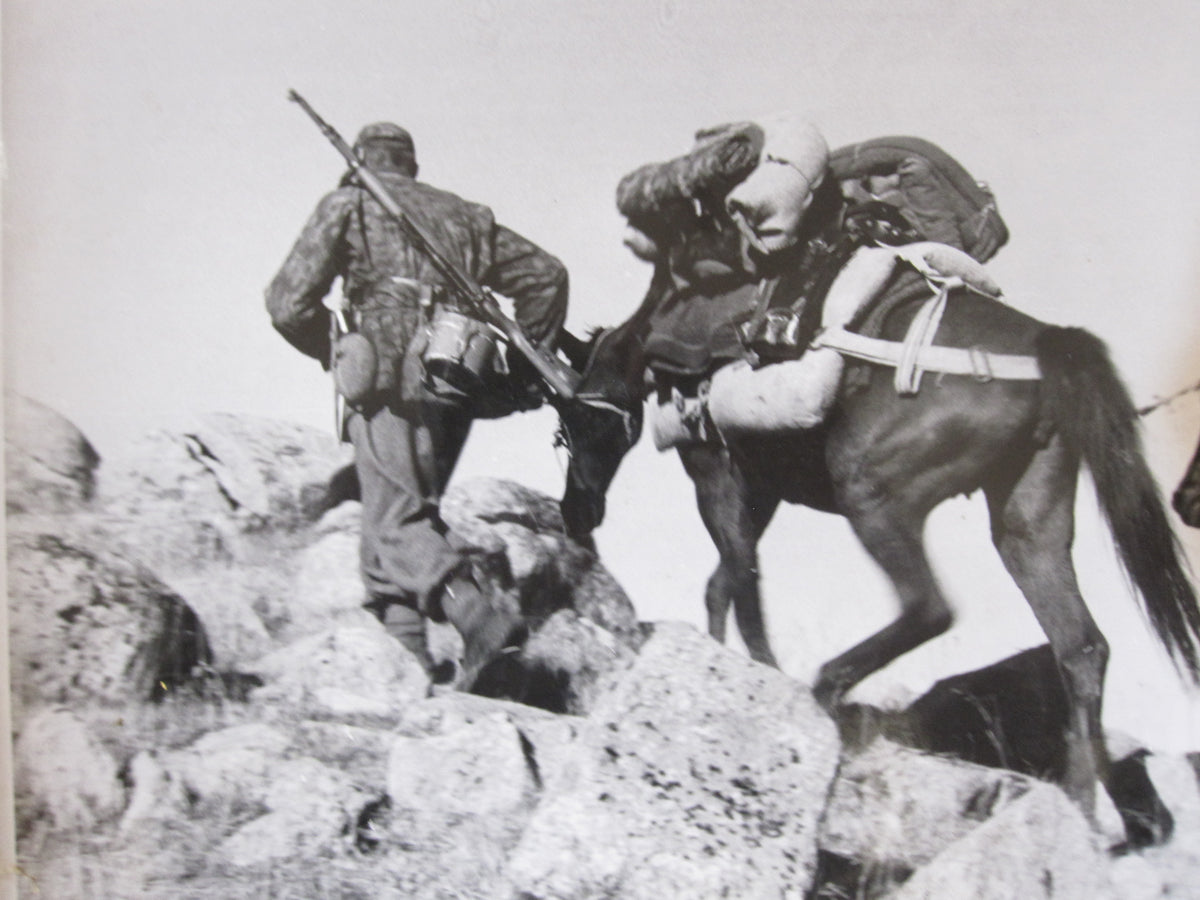 ORIGINALE 5 Großformatige Fotos SS-Gebirgsjäger Gebirgs Division &quot; PRINZ EUGEN &quot;  KRIEGBSBERICHTER  Serbien Montenegro Bosnien Balkanfeldzug