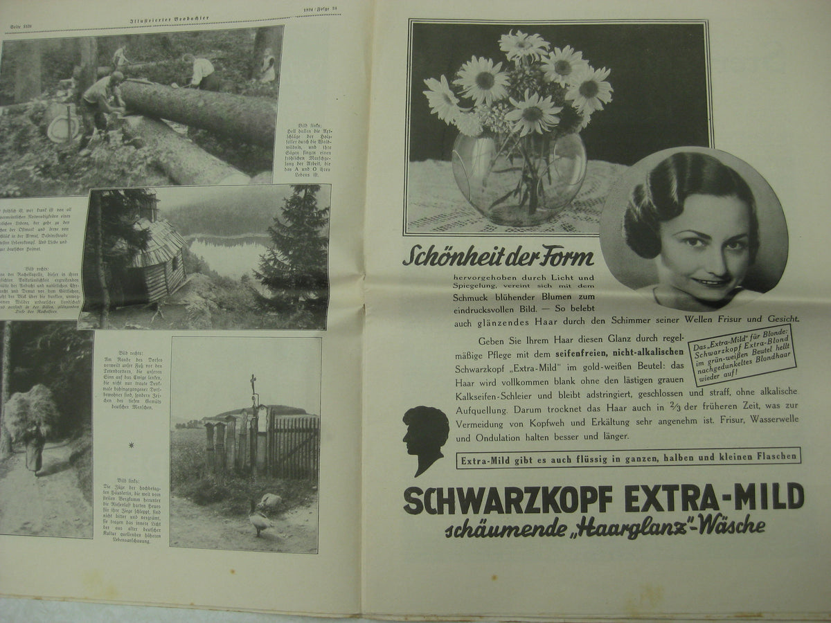 Heft Buch Illustrierter Beobachter 1934