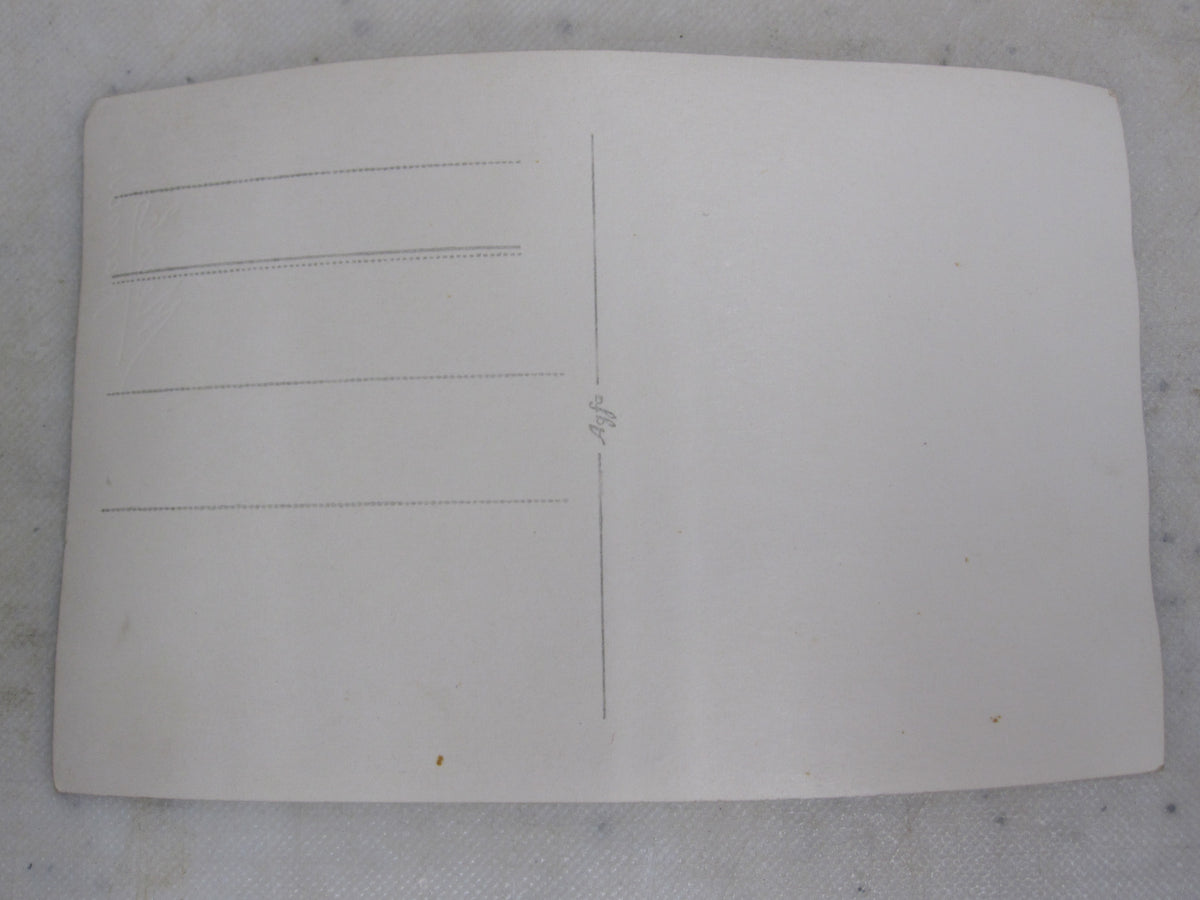 Uniformfoto Offizier Leutnant in Galauniform Paradeuniform I.R. 17 aus Braunschweig