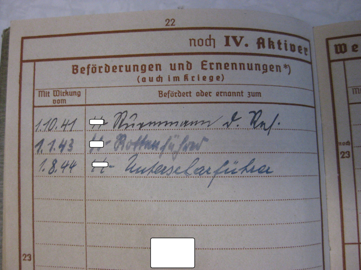 Waffen-SS Wehrpass SS Division TOTENKOPF