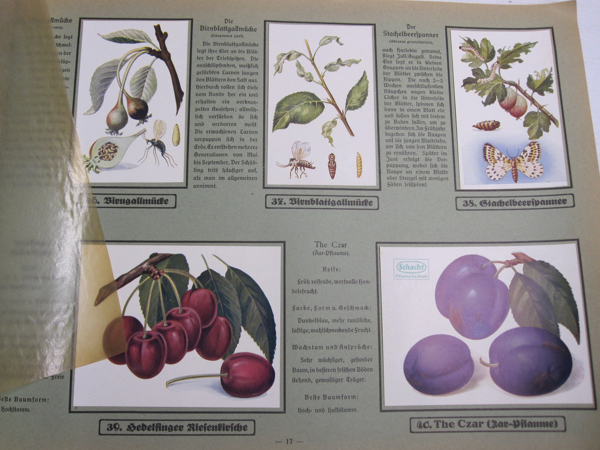 Sammelbilderalbum  Unsere Garten Schädlinge Braunschweig