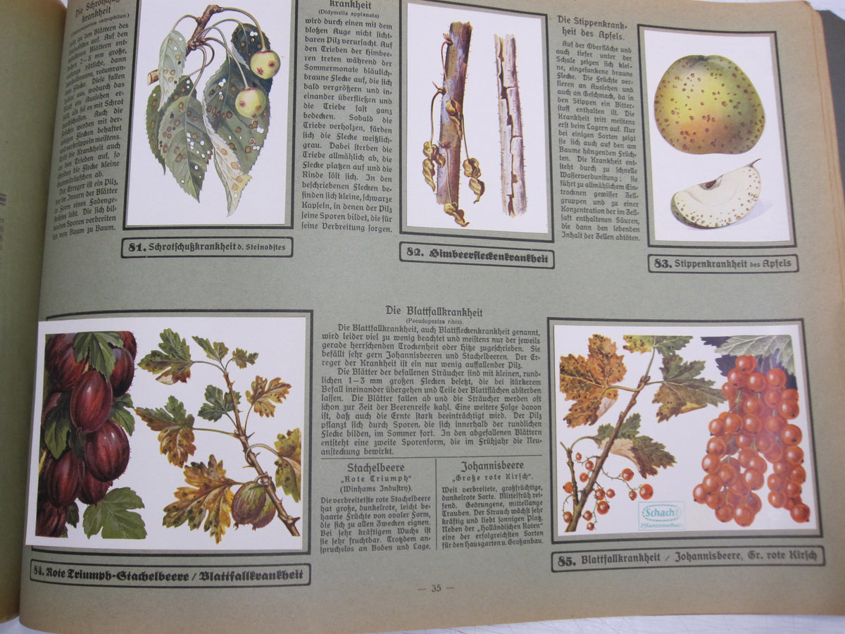 Sammelbilderalbum  Unsere Garten Schädlinge Braunschweig