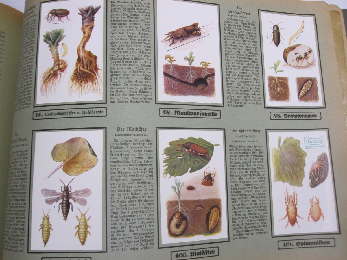 Sammelbilderalbum  Unsere Garten Schädlinge Braunschweig