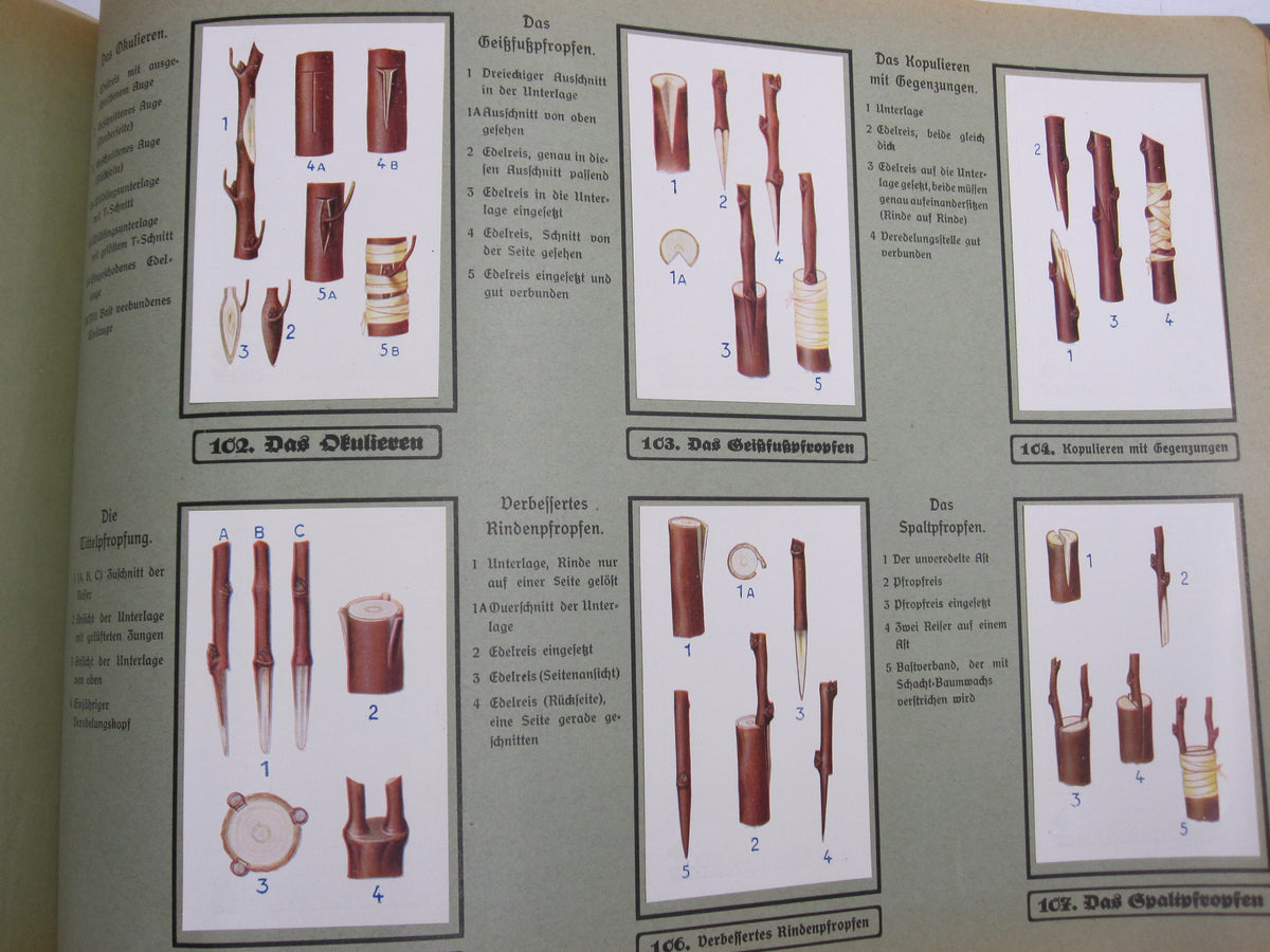 Sammelbilderalbum  Unsere Garten Schädlinge Braunschweig