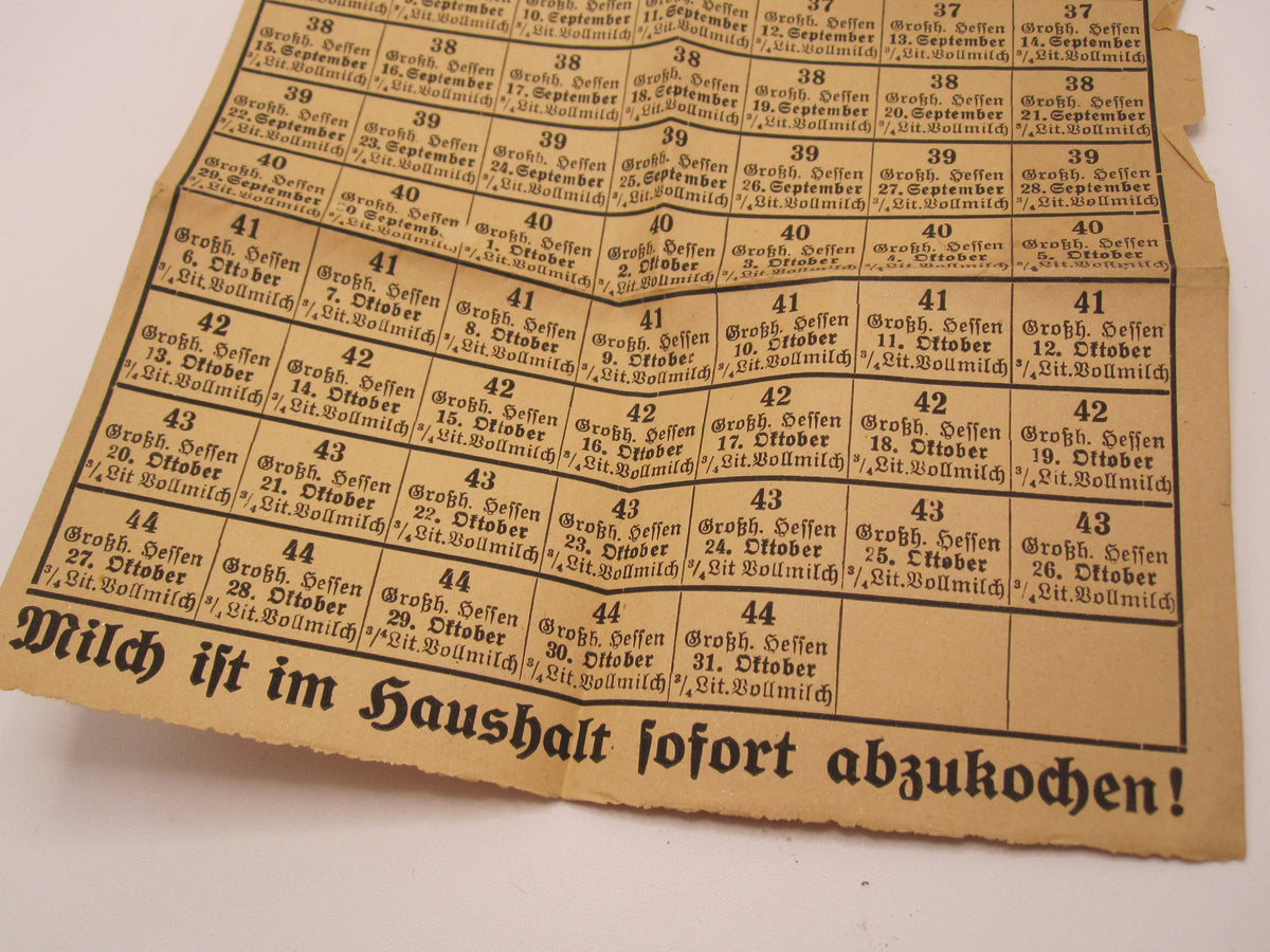 Papier - Nachlass Großherzogtum Hessen 1. Weltkrieg ALZEY Gau Odernheim am Glan