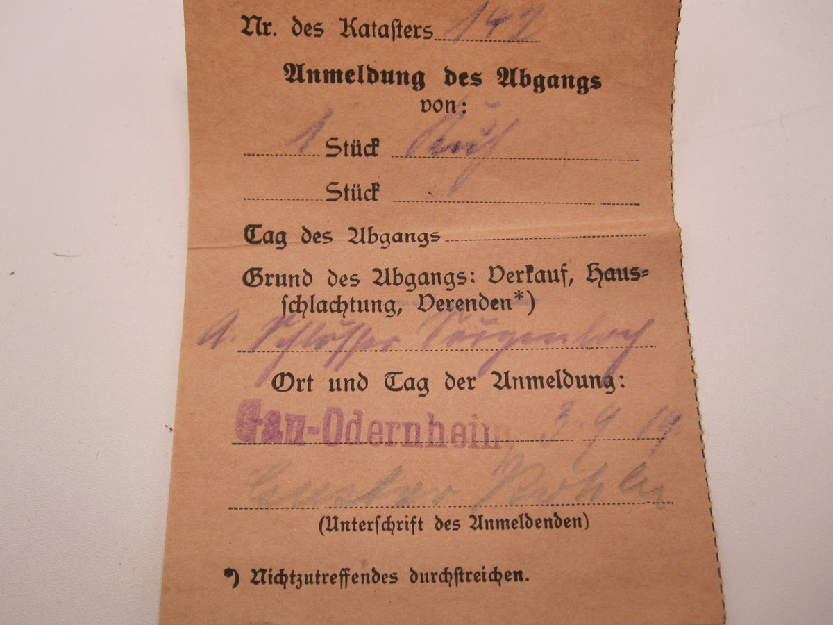 Papier - Nachlass Großherzogtum Hessen 1. Weltkrieg ALZEY Gau Odernheim am Glan