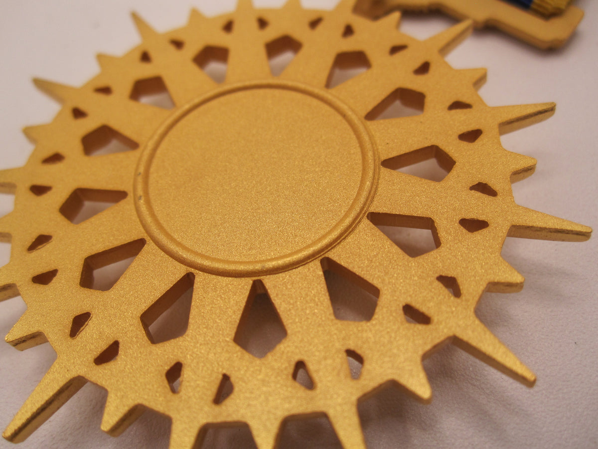 H.W.  - -  Air Force Medaille Distinguished Service Medal