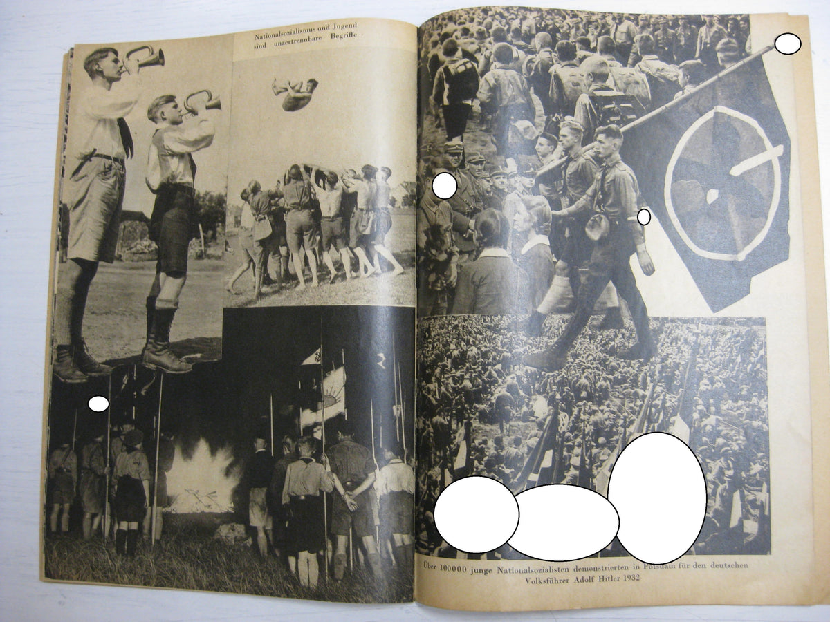 Buch Heft Der Triumph des Willens / Heinrich Hoffmann