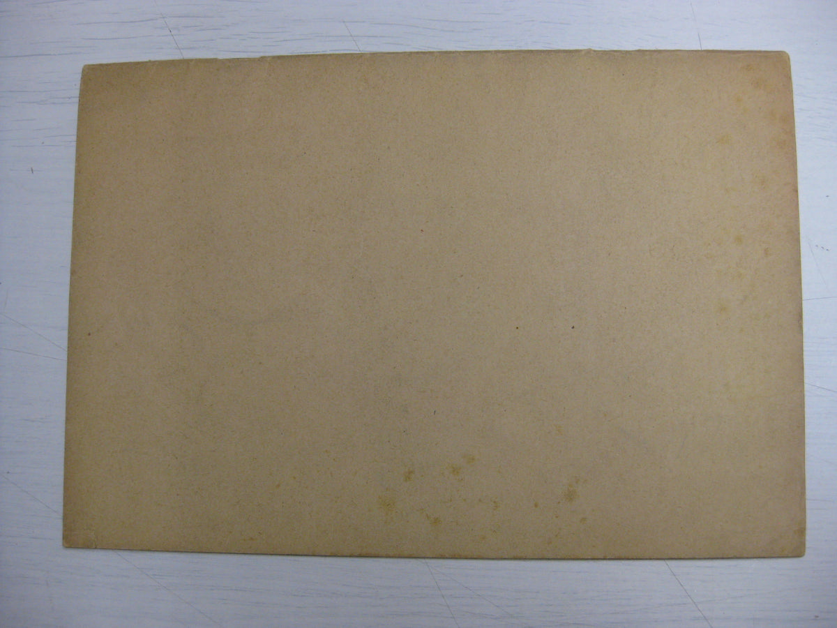 Buch Heft Der Triumph des Willens / Heinrich Hoffmann