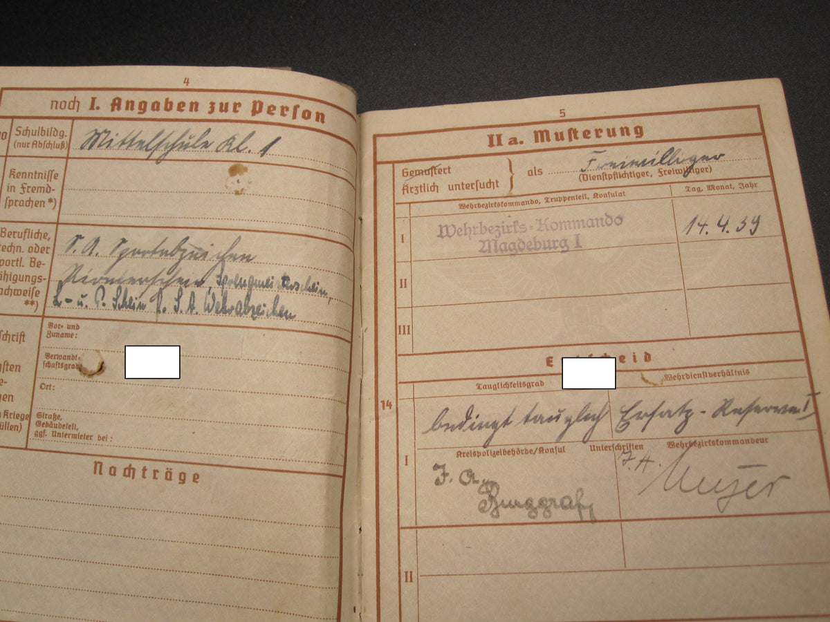 H.W.  -  -  Wehrpaß Division Feldherrnhalle