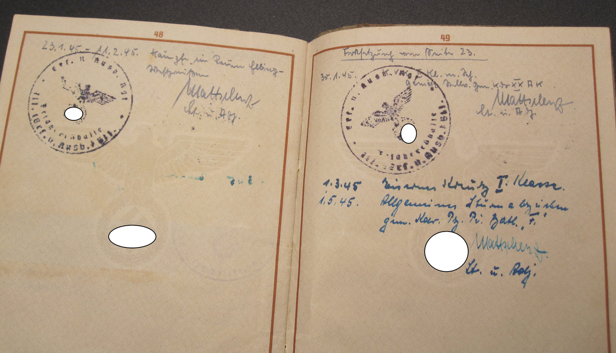 H.W.  -  -  Wehrpaß Division Feldherrnhalle