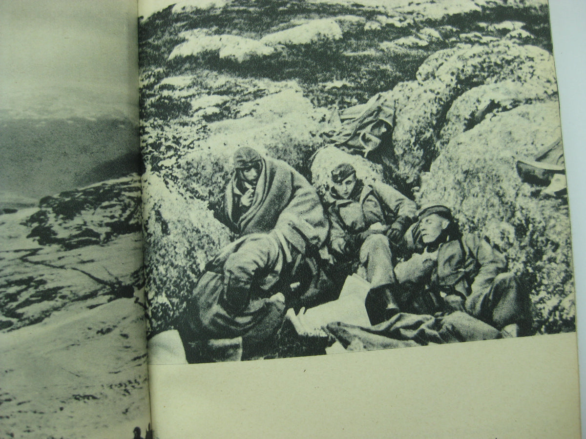 Buch die Fallschirmjäger von Dombas Norwegenfeldzug 1940