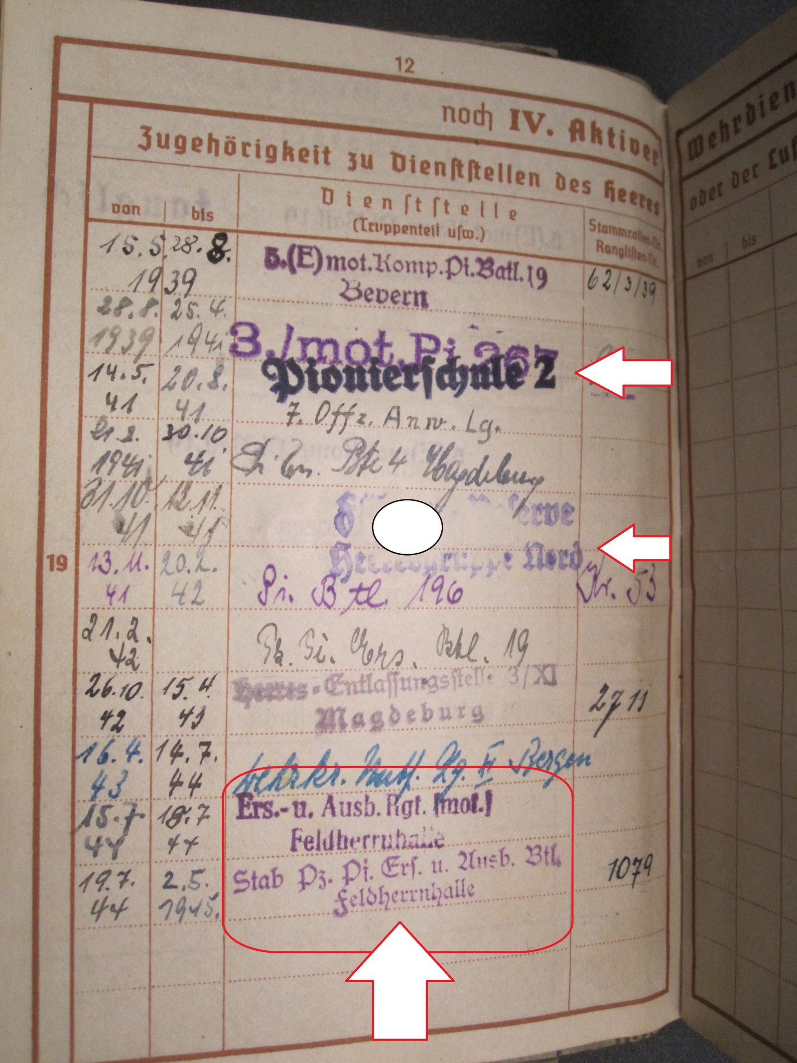 H.W.  -  -  Wehrpaß Division Feldherrnhalle