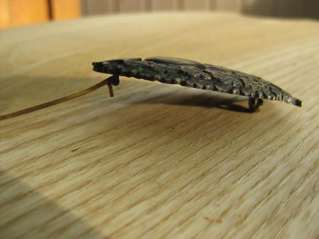 Sturmabzeichen Bulgarien