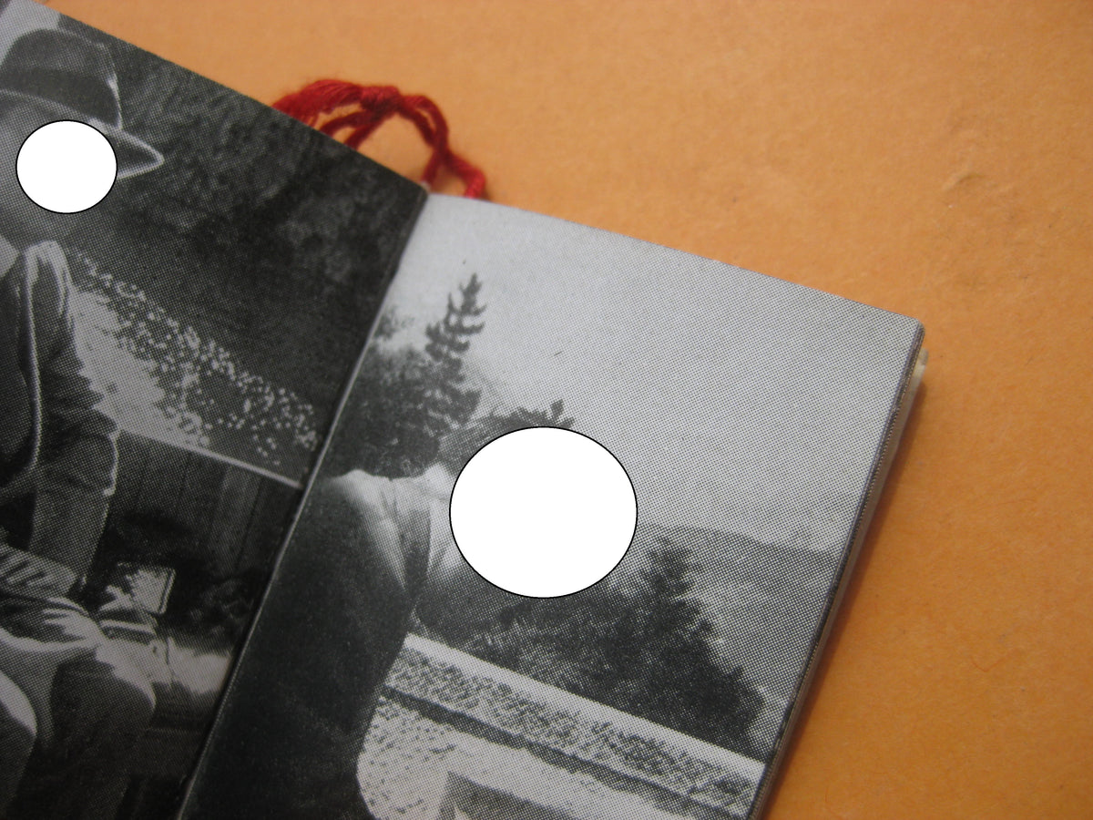 Winterhilfswerk (WHW) Der Führer in den Bergen