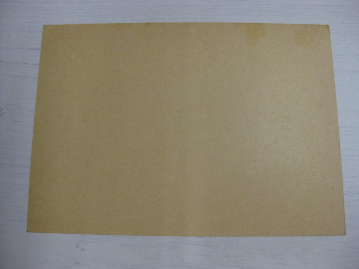 Patriotische Postkarte 3.Reich Ceskoslovensko 1938 Besatzungsmacht Protektorat