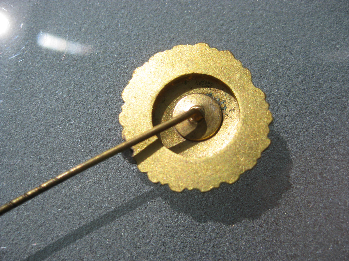 unbekannte Medaille unbekannter Orden unbekanntes Abzeichen Erinnerungsabzeichen ??? Biochemischer Bund Deutschlands goldene Ehrennadel ?