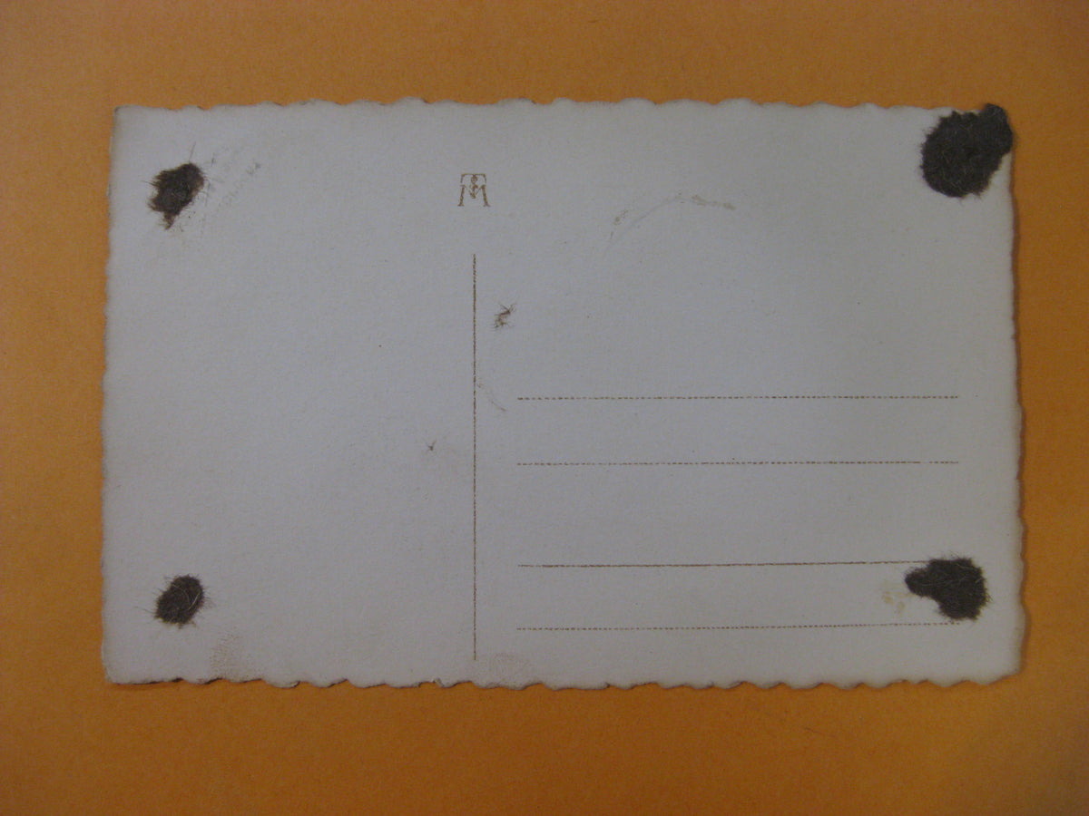 Postkarte Deutsches Reich 1.Weltkrieg Offizier