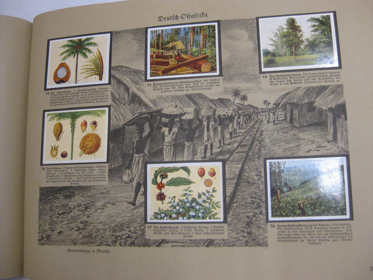 Sammelbilderalbum Deutsche Kolonien
