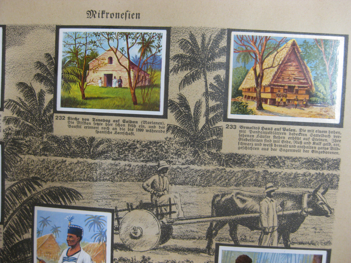 Sammelbilderalbum Deutsche Kolonien