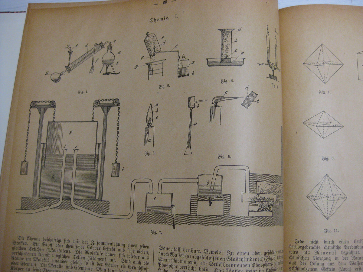Buch Die Welt in Bildern Orbis pictus