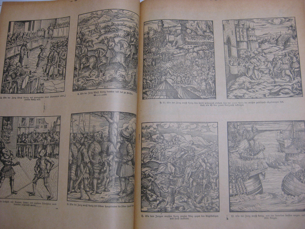 Buch Die Welt in Bildern Orbis pictus