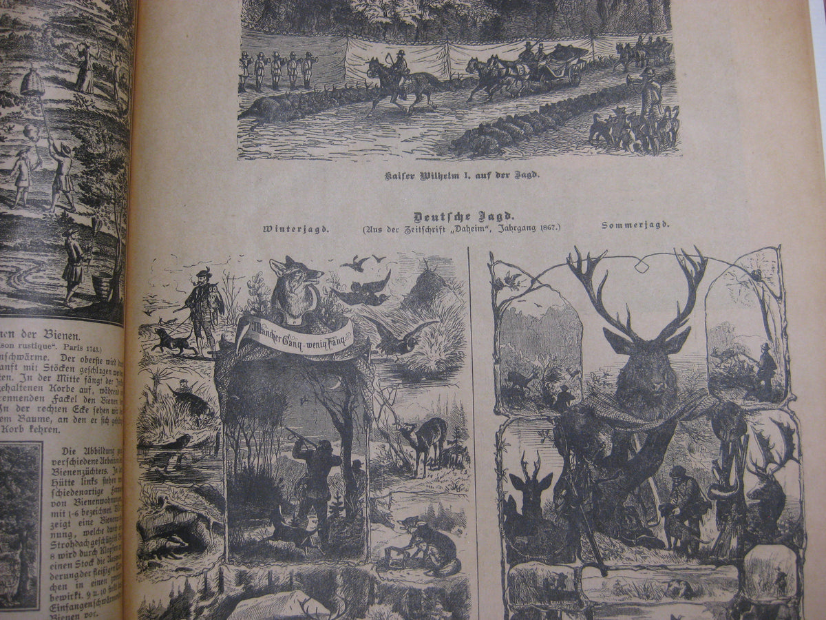 Buch Die Welt in Bildern Orbis pictus