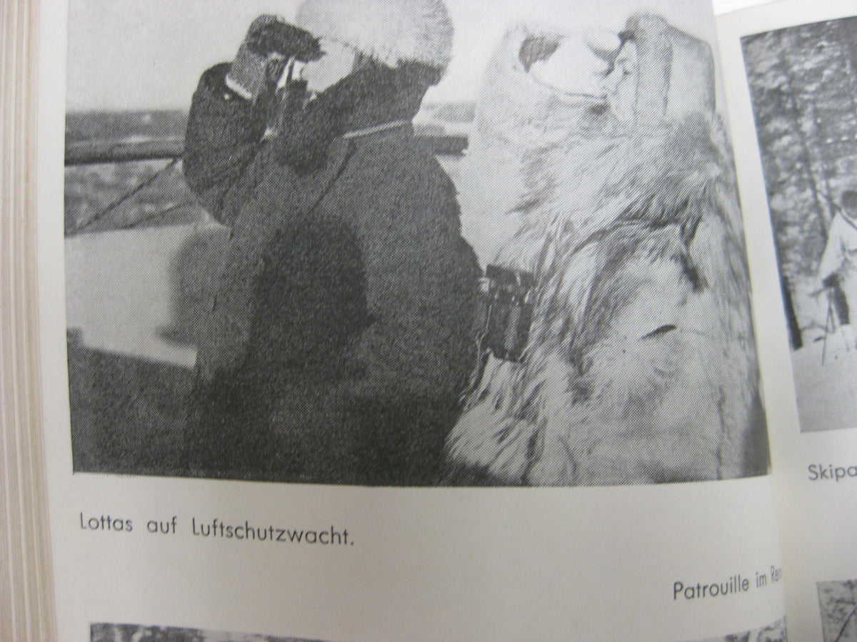 Buch Waffenbruder Finnland