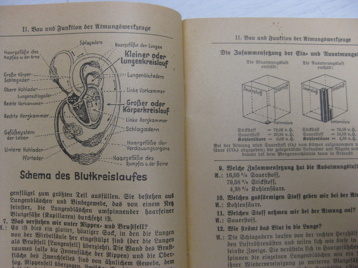 Originalausgabe Heft / Buch Gasschutz Gashilfe gegen Giftgase