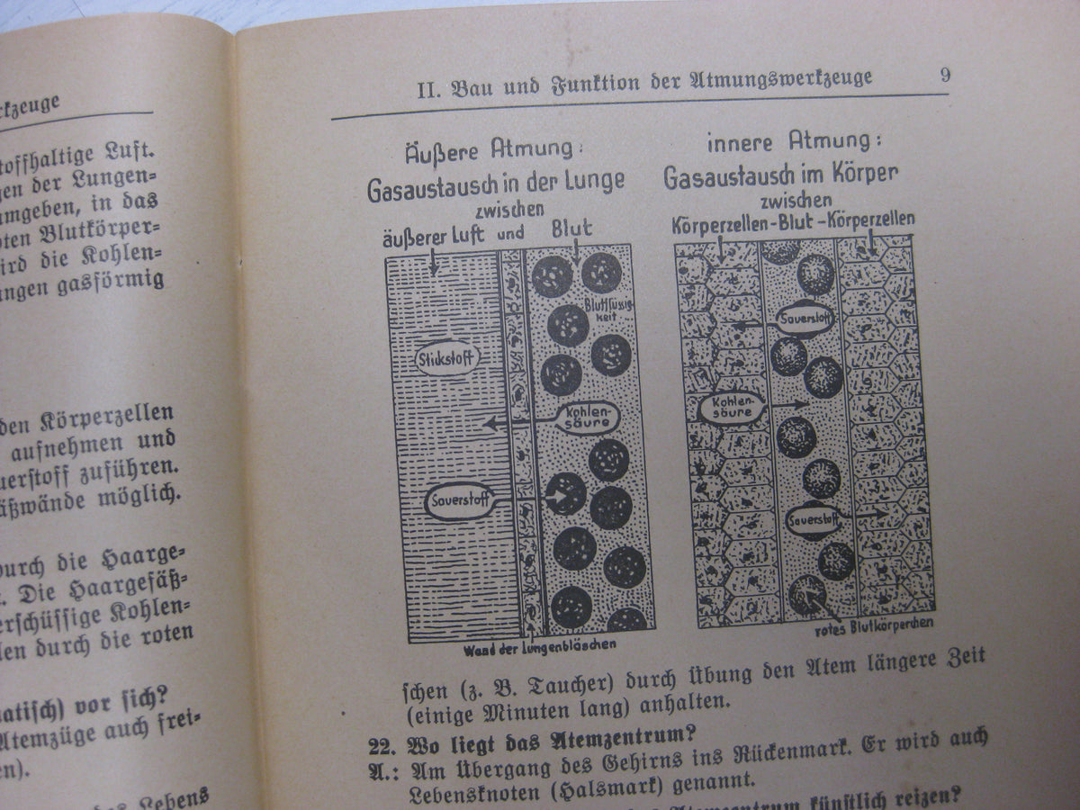 Originalausgabe Heft / Buch Gasschutz Gashilfe gegen Giftgase