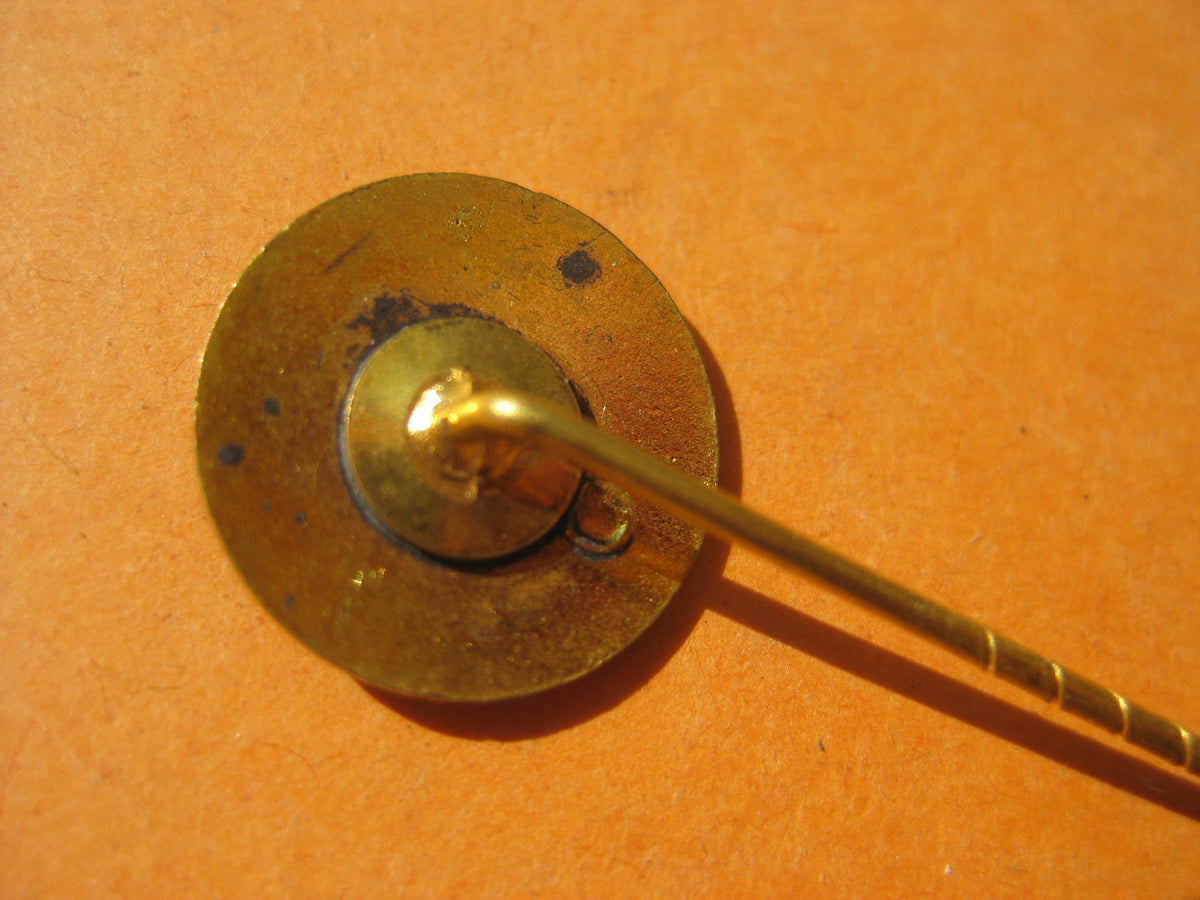 Mitgliedsabzeichen VDA Verein für das Deutschtum im Ausland Germania